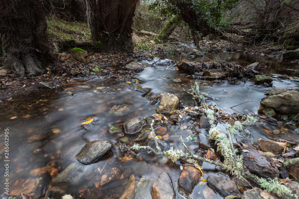creek in extremadura, spain