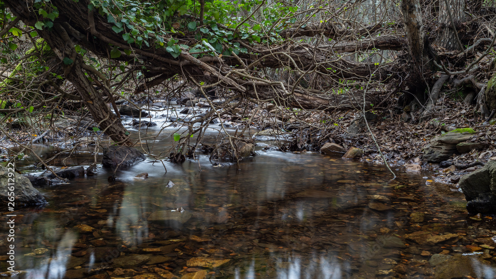 creek in extremadura, spain