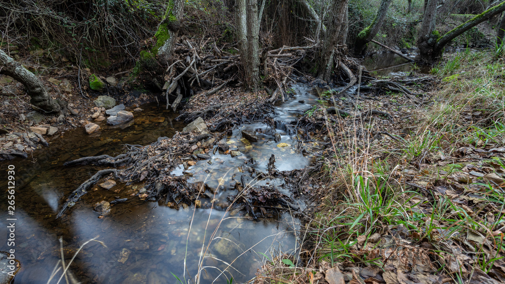 creek in extremadura, spain