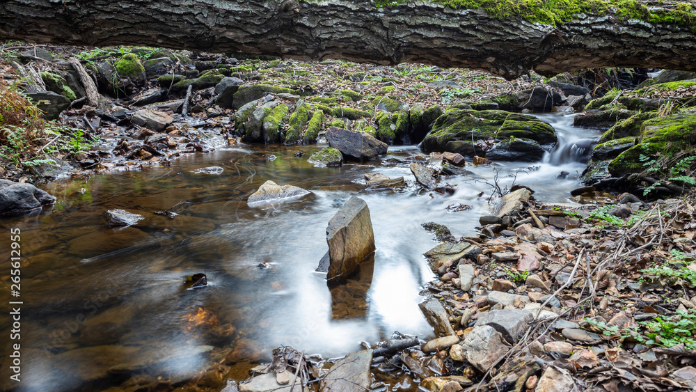 creek in extremadura, spain