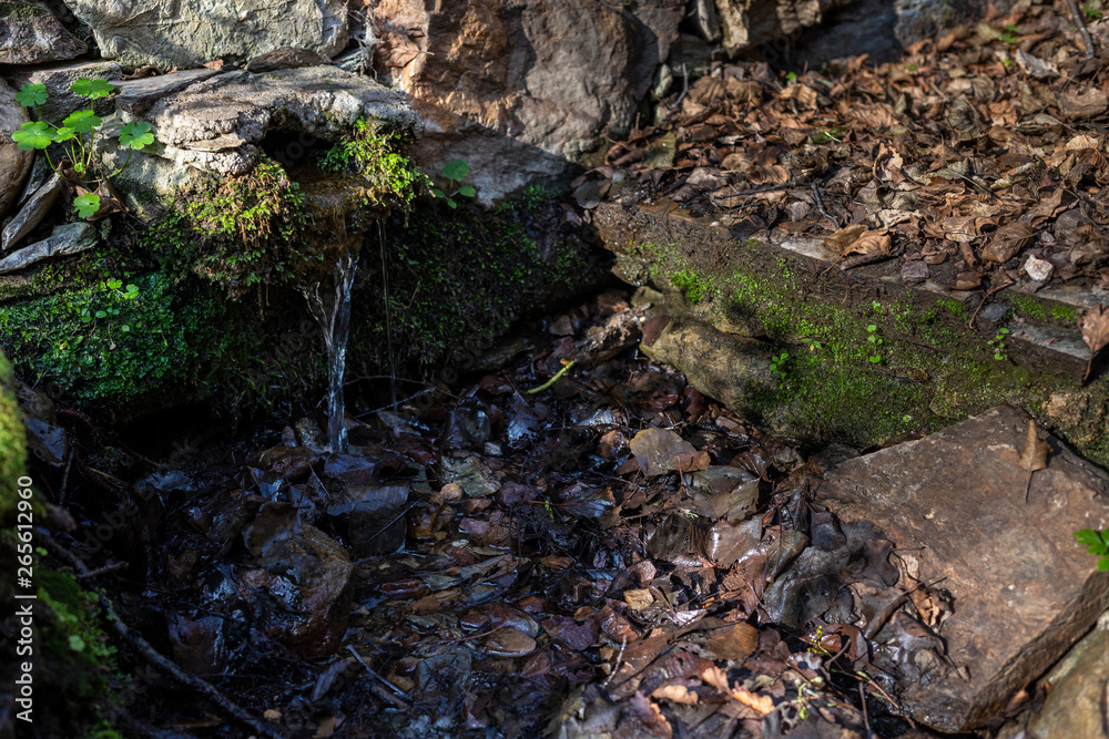 creek in extremadura, spain