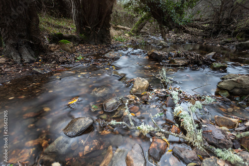 Obraz na płótnie creek in extremadura, spain w salonie