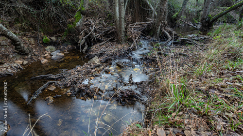 Obraz na płótnie creek in extremadura, spain w salonie