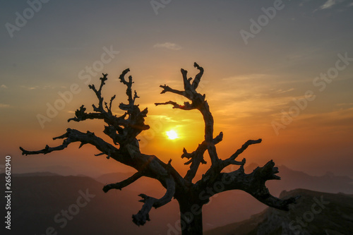 Sunrise in Aitana mountain in Confrides.