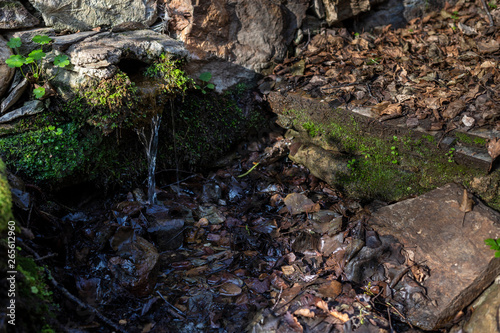 creek in extremadura, spain photo