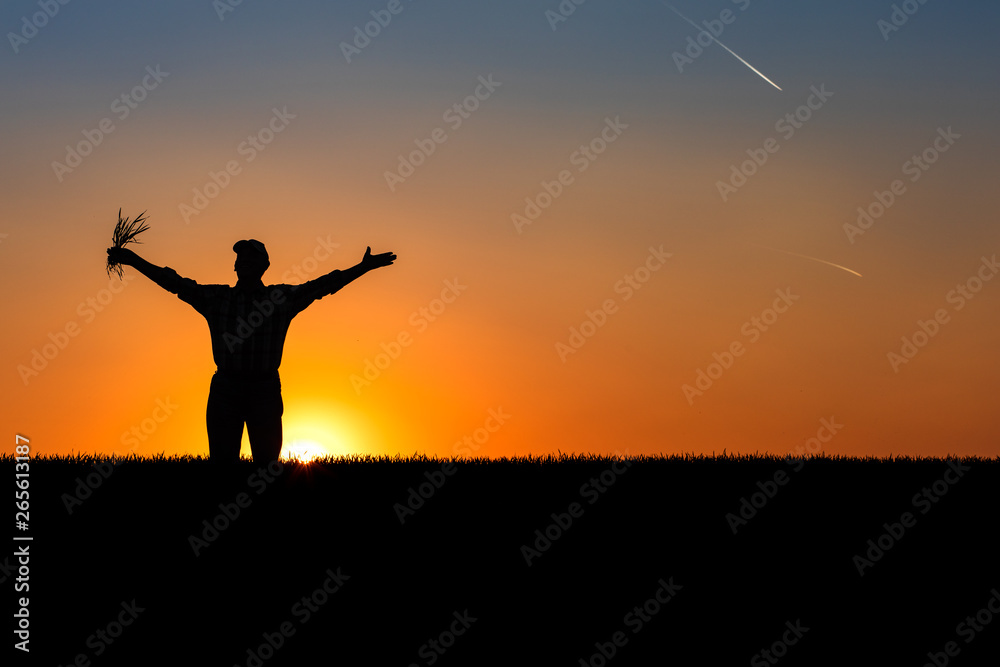 Silhouette of senior farmer standing in field with his hands outstretched.	