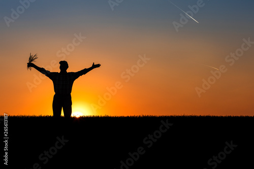 Silhouette of senior farmer standing in field with his hands outstretched. 