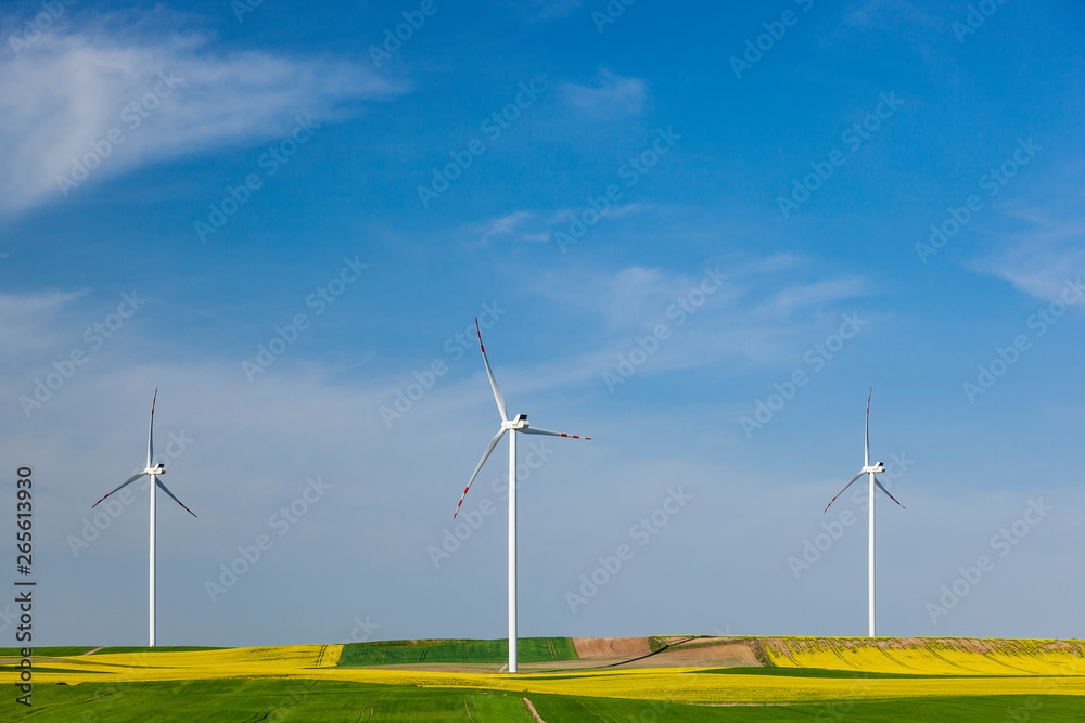 Turbiny wiatrowe na polu z rzepakiem Turbiny wiatrowe na polu z rzepakiem