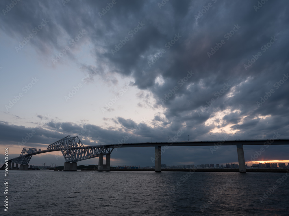 Tokyo Gate Bridge