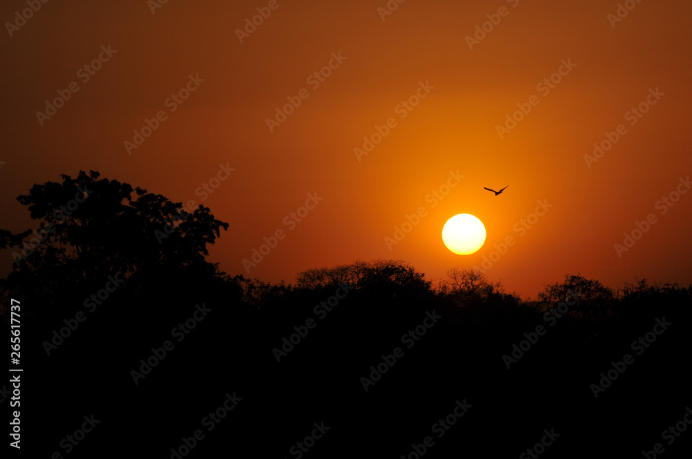 Obraz premium Itumbiara Cerrado Goias Por do Sol