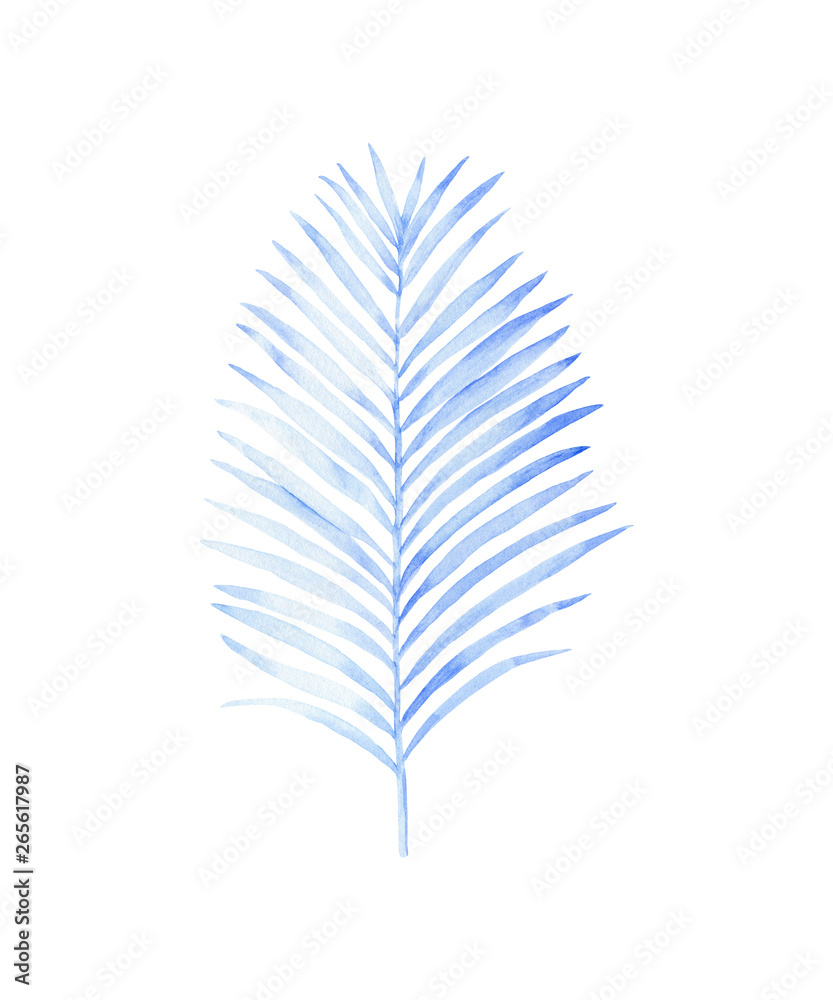 Fototapeta premium Watercolor painting of coconut palm leaf