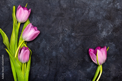 Tulip flower on dark background, copy space. A beautiful spring bouquet of pink flowers