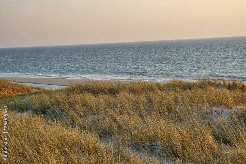 Nordsee, Strand, Meer, Küste, Dünen, Urlaub Nordsee, Strand, Meer, Küste, Dünen, Urlaub