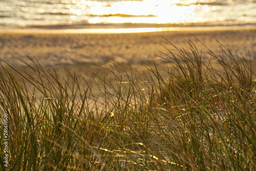 Nordsee, Strand, Meer, Küste, Dünen, Urlaub photo