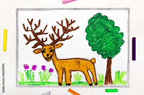 Colorful drawing  cute brown deer with big deer horns