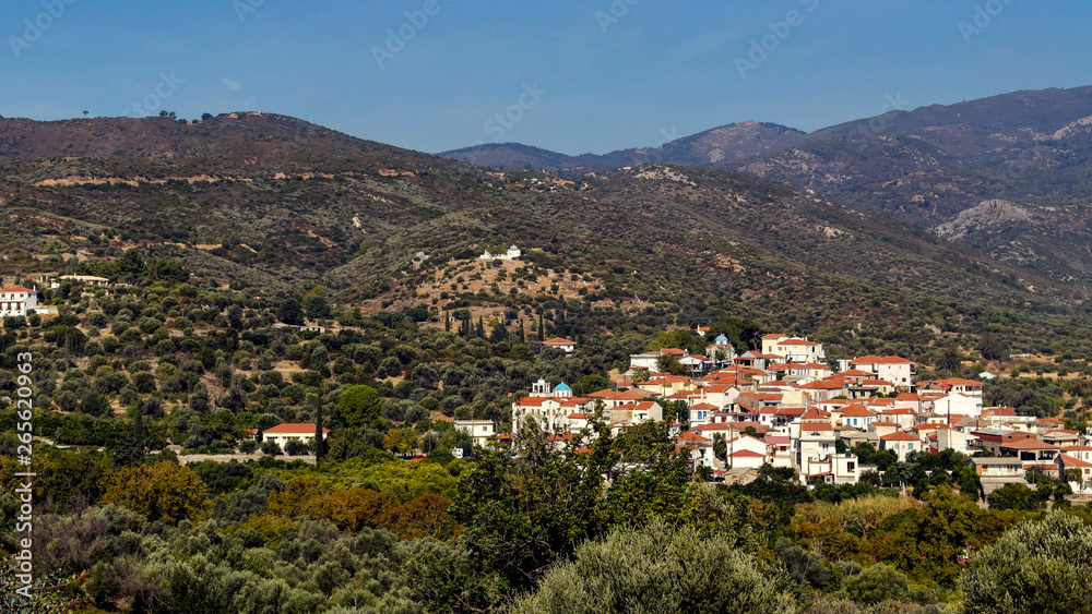 Blick von oben auf eine Stadt auf der Insel Samos