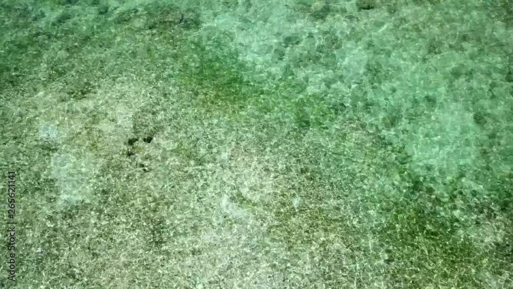 西表島の海 西表島の海