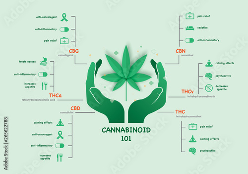 The benefits of healthy marijuana leaves
