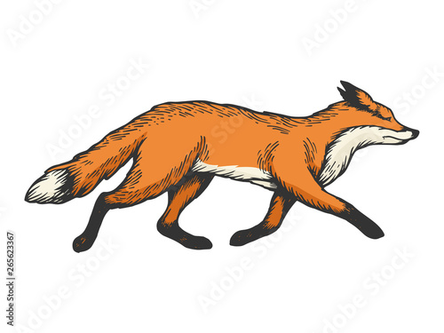 Running fox animal color sketch engraving vector illustration. Scratch board style imitation. Black and white hand drawn image.
