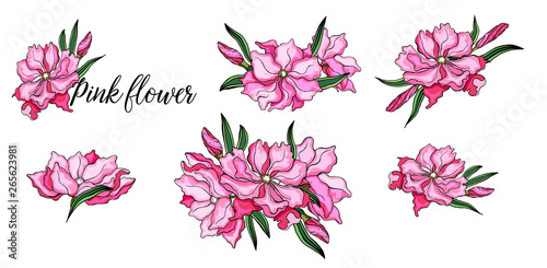 bright flower arrangements