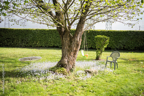 Fotografie Petit coin de jardin calme