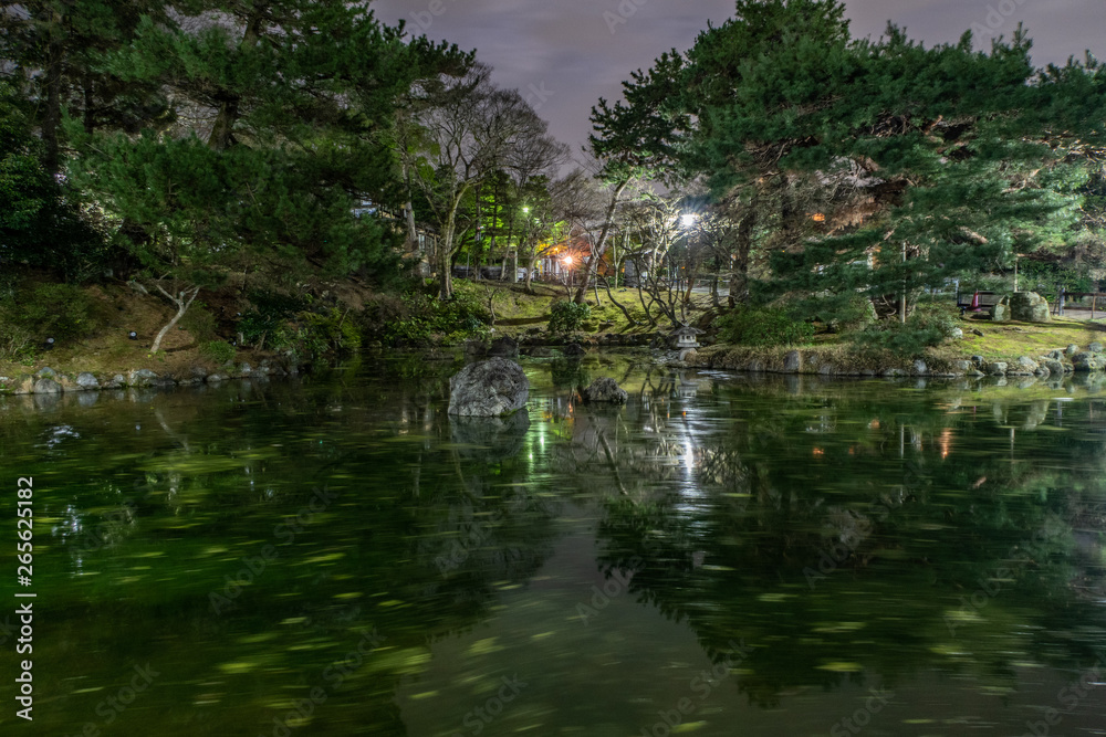Parc Maruyama de nuit à Kyoto Gion