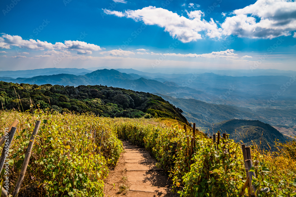 Naklejka premium Picturesque hiking trail with panoramic view of valley, hills and forest in Doi Inthanon park, Thailand