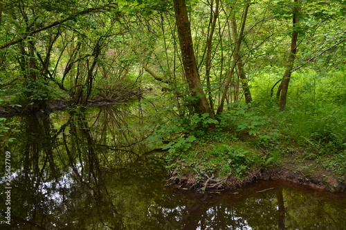 La Chapelle-sur-Erdre - La vall  e du Gesvres