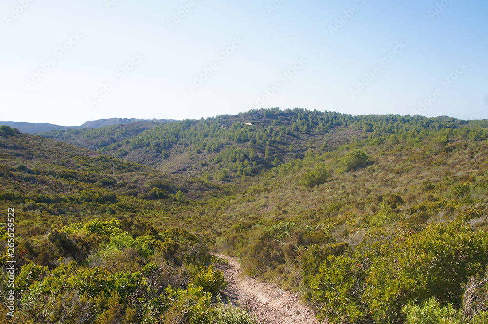 Summer steppe mountain landscape with dry yellow green bushes trees and grass under the scorching sun and blues sky.