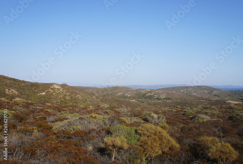 Summer steppe mountain landscape with dry yellow green bushes trees and grass under the scorching sun and blues sky.