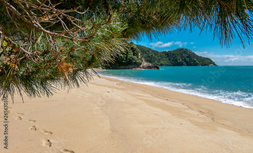 Peaceful sand beach with footrints on the sand. Tasman Bay, Nelson area, New Zealand