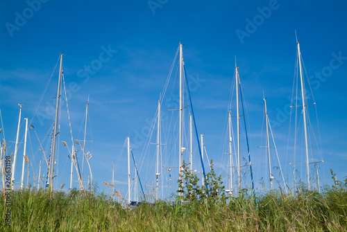 Luxury yacths berthed