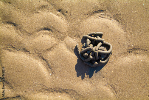Geometric tangle on the beach sand