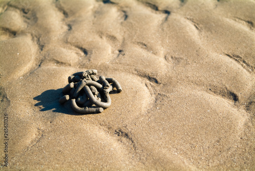 Geometric tangle on the beach sand
