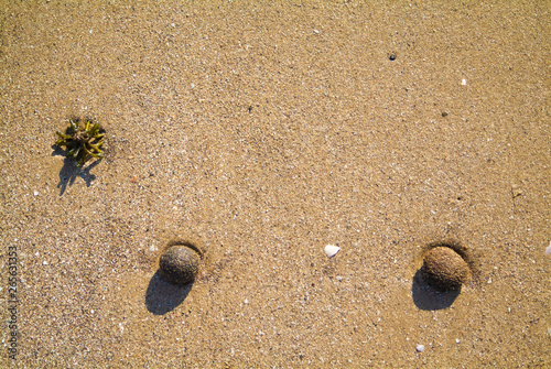 Geometric shape ball on the beach sand