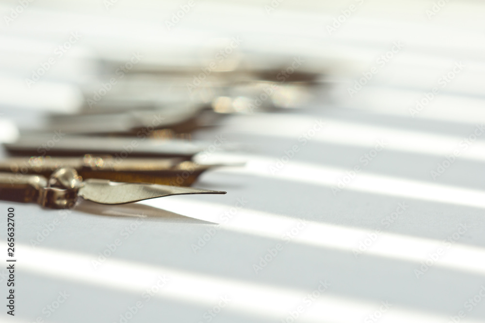 metal tips for the ink pen on a white background in solar rays. stationery on white desk close up top view. spelling lessons and caligraphy exercises. Template, layout, background. macro metal tips for the ink pen on a white background in solar rays. stationery on white desk close up top view. spelling lessons and caligraphy exercises. Template, layout, background. macro