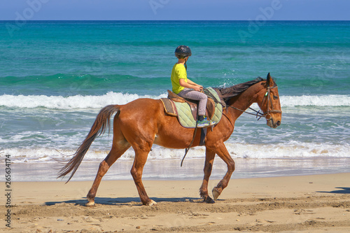 Young Man On Horseback In Front Of A Deep Blue Sea