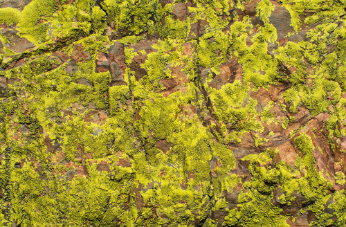 The texture of stone and lichen. Background image © Sotnikova Kristina