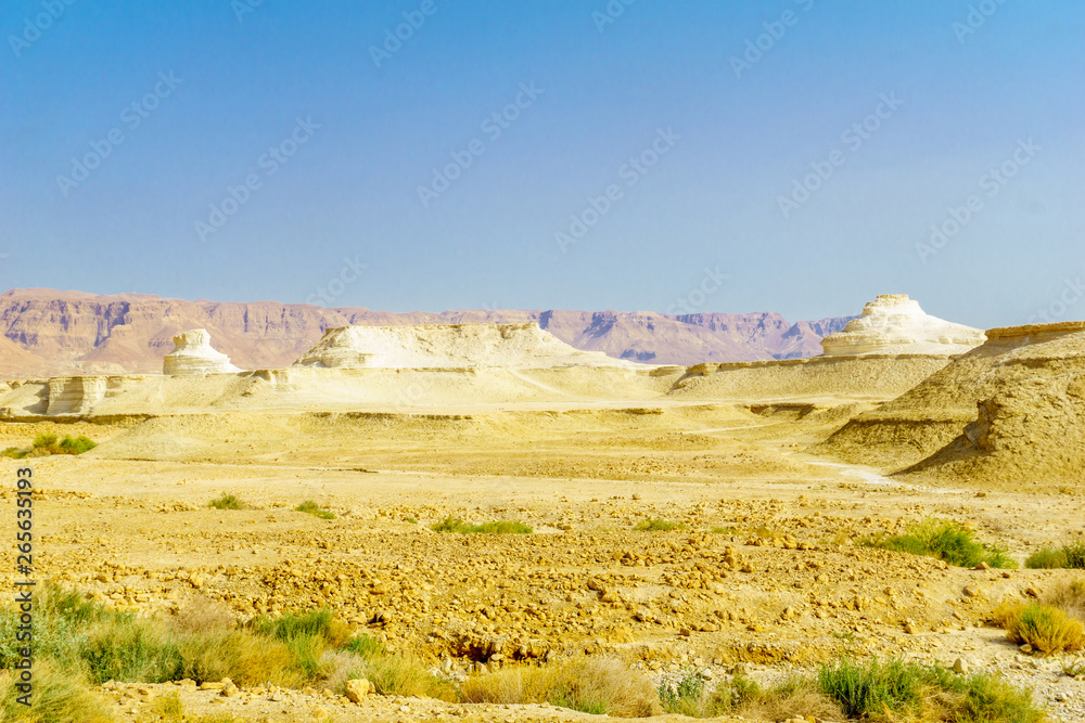 Landscape and rock formation in the Judean Desert