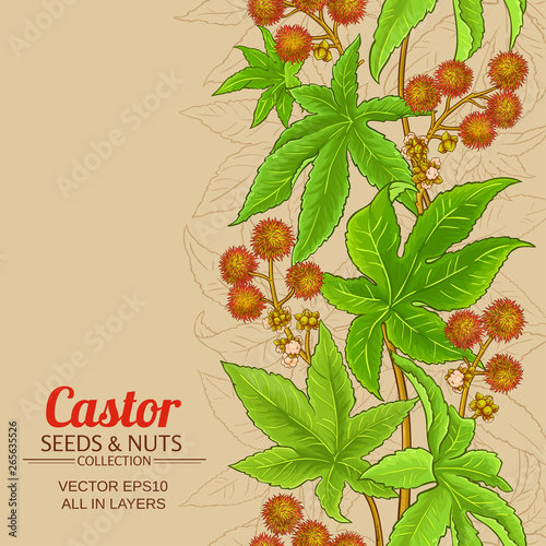 castor vector background