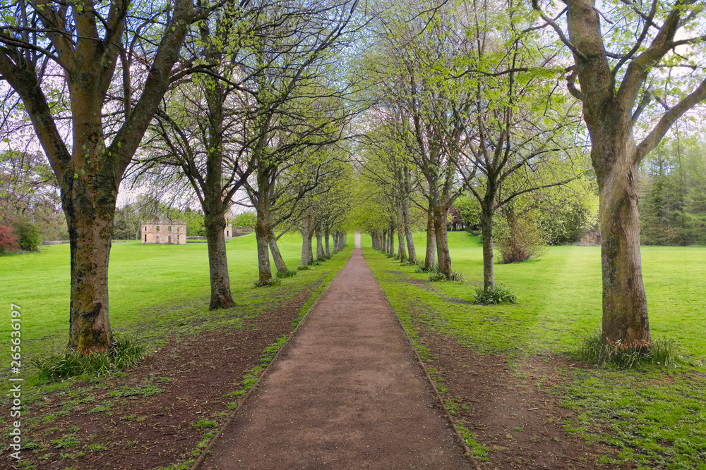 A Tree Lined Footpath in a Scottish Country Park in Irvine North Ayrshire Scotland. A Tree Lined Footpath in a Scottish Country Park in Irvine North Ayrshire Scotland.