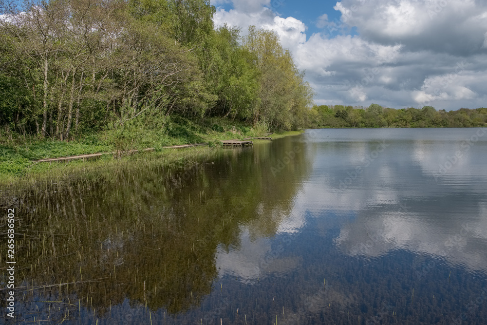 Eglinton Loch Irvine Scotland