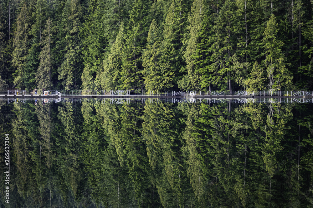 floating footbridge reflecting in a lake