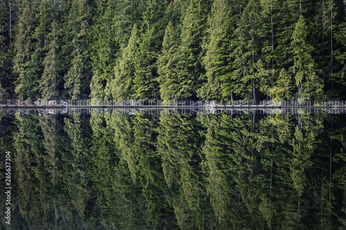 floating footbridge reflecting in a lake