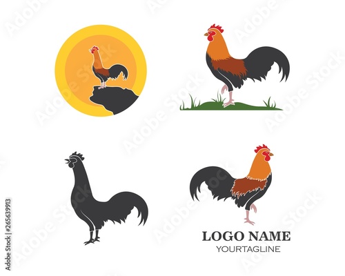 Leinwand Poster rooster logo vector illustration template