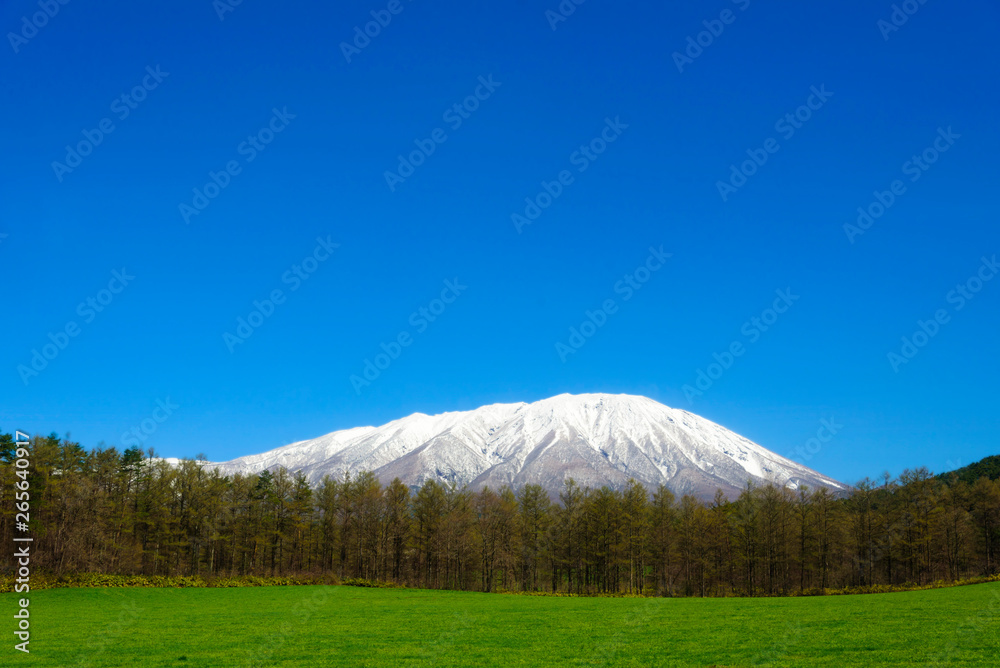 Obraz premium 岩手山と小岩井農場の風景