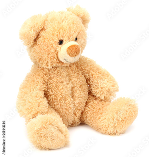 Wallpaper Mural toy teddy bear isolated on white background Torontodigital.ca