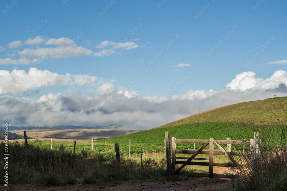 rural landscape with fence and blue sky