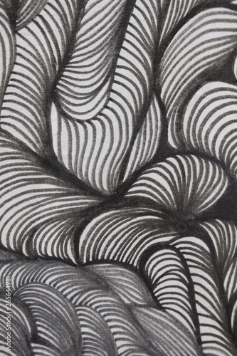 ILLUSTRATIONS