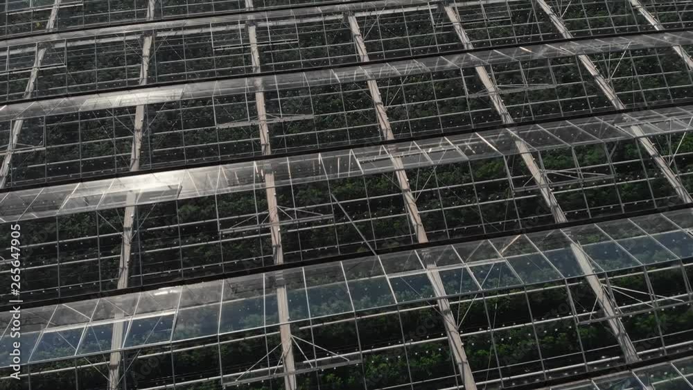 Camera fly over the greenhouses. Aerial shot. Geometry in industrial production. Perfectionism in the agricultural sector. The camera flies low over the roofs of a large number of greenhouses. 4K Camera fly over the greenhouses. Aerial shot. Geometry in industrial production. Perfectionism in the agricultural sector. The camera flies low over the roofs of a large number of greenhouses. 4K